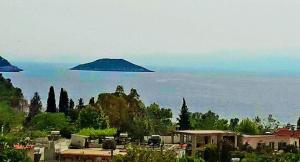 Elios Petit Village Skopelos Greece