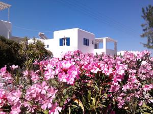 Nicos Studios & Apartments Paros Greece