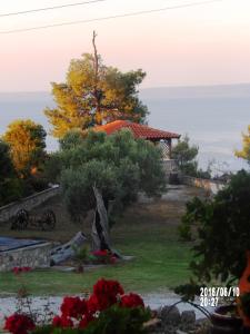 Apartments Peristeridis Halkidiki Greece