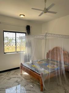 Mzimu guest house with ocean views