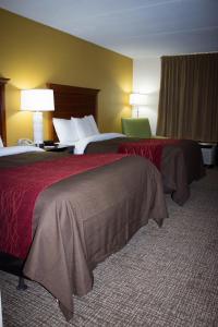 Double Room with Two Double Beds - Non-Smoking room in Grand Vista Hotel