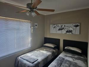 The Bushveld Jasmine