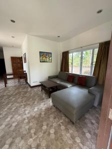 olivia village pool resort