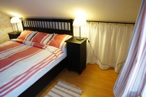 Apartmá v Rodném domě Vincenze Priessnitze v centru lázní