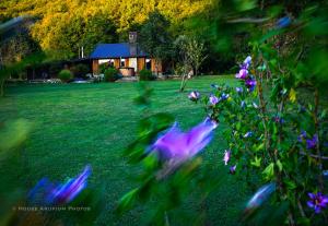 House Arupium - HOT TUB