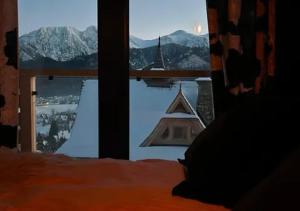 Schronisko Zmysłów - Apartament 6