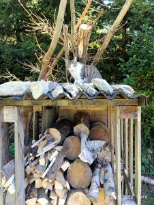 Folwark Noclegowy w Nowej Morawie - Holenderka na wys 600 m