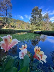 Wellness Getaway with Private Spa