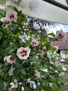 Lille Degnbøl Holiday House