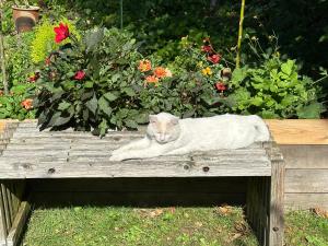 Lille Degnbøl Holiday House