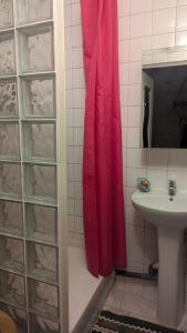 Lovely flat in Paris