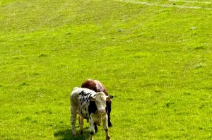 Upper Barn at the Flax Mill