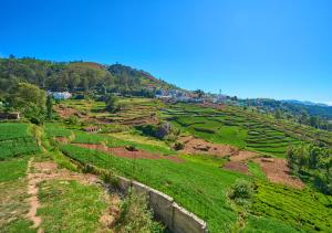 Central Homestay Ooty by VOYE HOMES Family-Friendly Budget Stay with Valley And Mountain Views