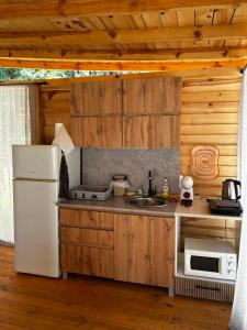 Каравана Рубин