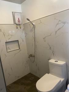 peaceful turtle camp