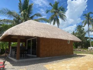 peaceful turtle camp