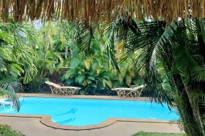 Paradise Escape w Pool & Garden