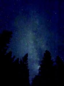 Landhaus Auerling am Wald - Ruhige Lage, Wander- und Skiparadies