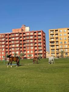 PortoGolf , Porto walk Marina splash
