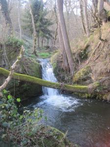 Campings La Roulotte des Bords de l'Ance : Caravane 