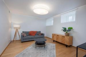 Vallikraavi street Apartment with sauna