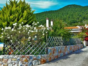 Elios Petit Village Skopelos Greece