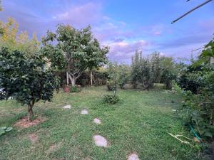 Luxury Villa - Dar Al Shams 01