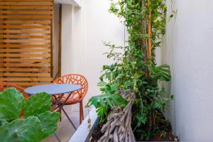 Charming Flat with Patio Lisbon