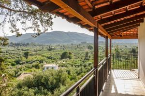 Odysseas Studios Zakynthos Greece