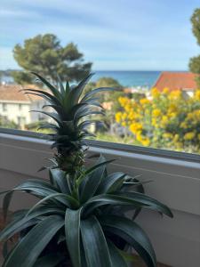 Magnifique Duplex - jardin - vue mer Plage et Sanary à pied