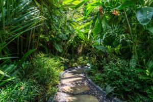 Luxury loft Lestari 2 with Private pool in ubud