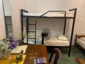 Omelya Dorm