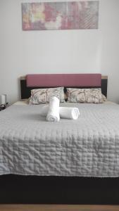 Alba apartment