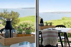 G319-Lemvig-Violvej-19