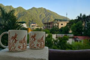 OSLO Green By Around stays