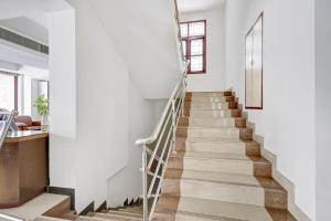 Collection O M G Road