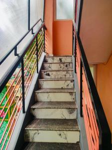 venkateshwara ladies pg