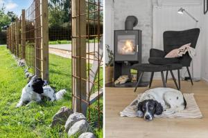 8993-Orsted-Hejrevej-31