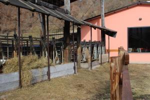 Agriturismo Natura e Gusto fattoria didattica