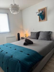 Appartement cosy face à la basilique Saint Remi