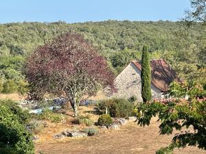 Mas de Méjas Chambre dhôtes La Pierraille