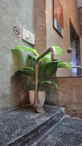 The Loft House Muangthong