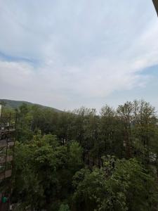 Misty Mountain Escape