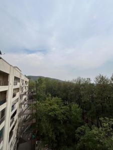 Misty Mountain Escape