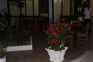 Affittacamere la Medusa img55