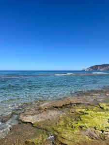 Casa Vacanza il Mandorlo img74