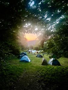 Pole Namiotowe Schronisko Bartne