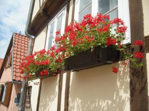 Ferienhaus Münzenberg 53