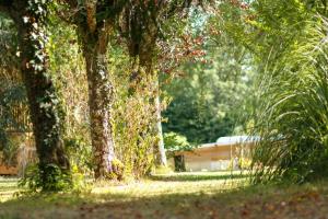 LEnvol - Oasis Ressource