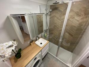 Cozy Apartment in Piątkowo